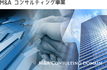 M&A コンサルティング事業