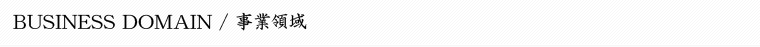 BUISNESS DOMAIN